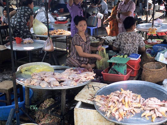 VIETNAM circuit