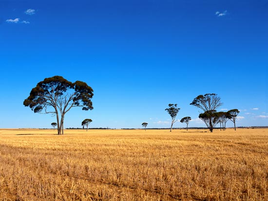 voyage australie