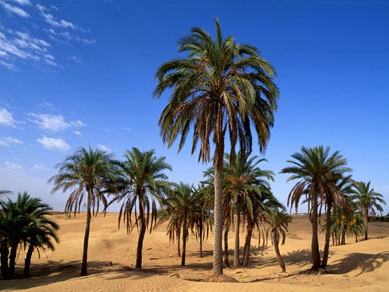 (Image) voyage etats unis californie