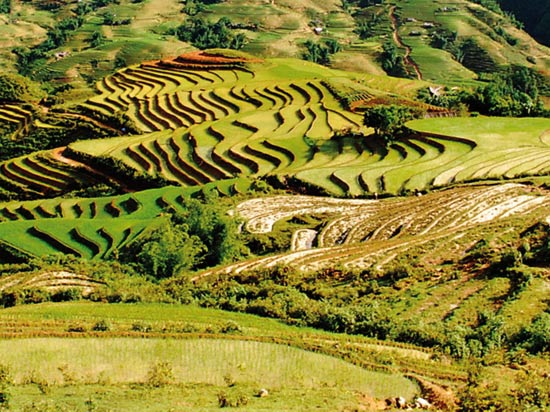 voyage vietnam