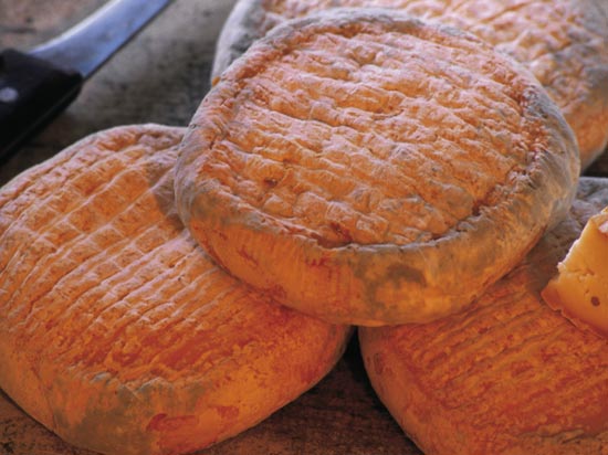 voyage france corse fromage