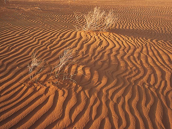 (Image) JORDANIE circuit