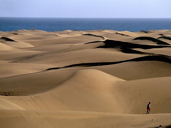 (Image) Image scolaire canaries.tenerife