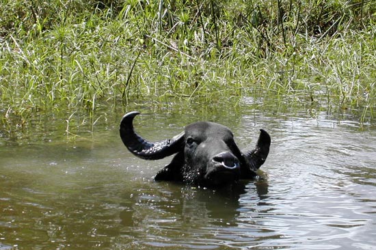 rencontre de la diversité mulhouse 2012