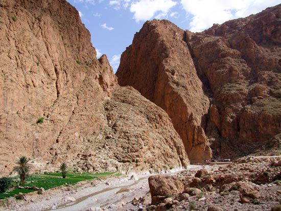 (Image) MAROC circuit