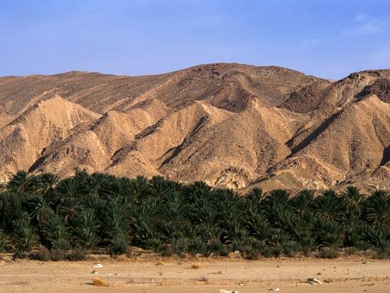 (Image) TUNISIE circuit