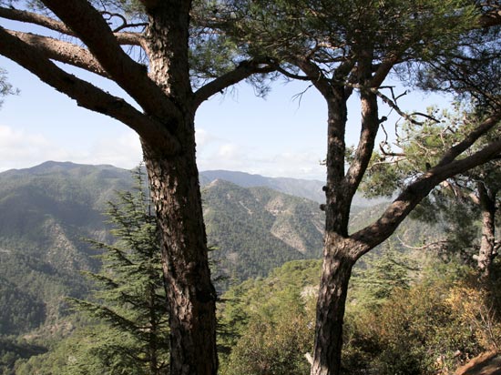 (Image) CHYPRE sejour decouverte