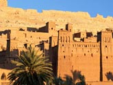 MAROC circuit  mini