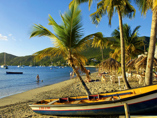 (Image) NT antilles martinique plage fotolia