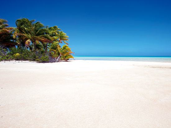 (Image) NT antilles martinique plage istock