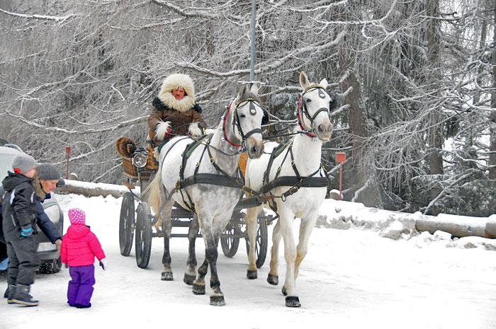 actu site pologne tatras slovaquie