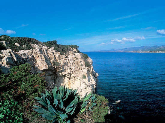 (Image) chypre akamas plage
