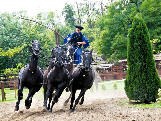 (Image) hongrie cavalier magyar dans la puszta