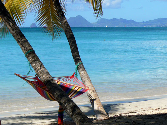 (Image) martinique fotolia