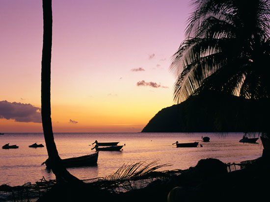 (Image) NT antilles martinique fleur pixmac