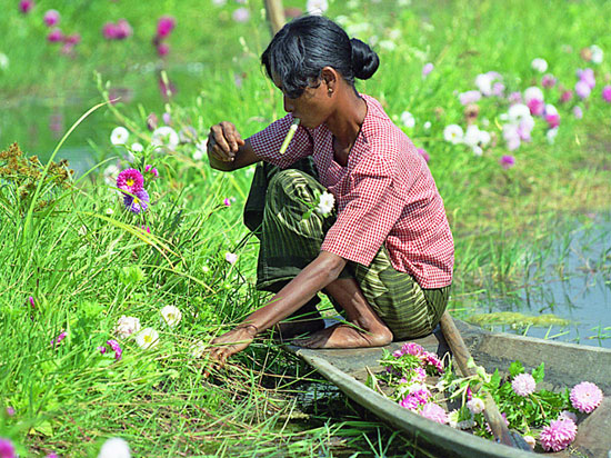 (Image) myanmar