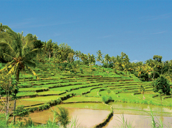 (Image) indonesie bali bateau fotolia