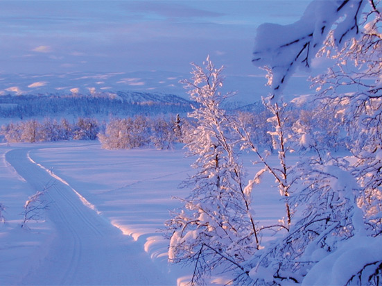 (Image) norvege beitostolen