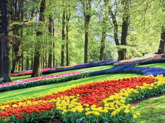 (Image) pays bas hollande venlo la floriade fotolia
