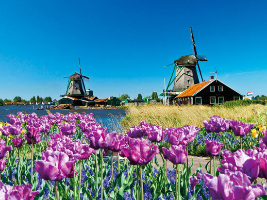 (Image) pays bas hollande venlo la floriade fotolia
