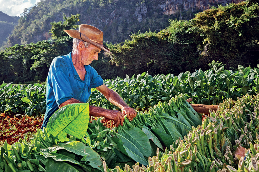 Cuba Authentique (petit groupe - 6-12 pers.)