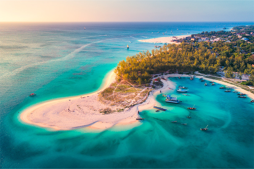 Circuit petit groupe - Tanzanie & Zanzibar, safaris du Sud et océan Indien - Vols Ethiopian Airlines (de 3 à 7 pers. max.)