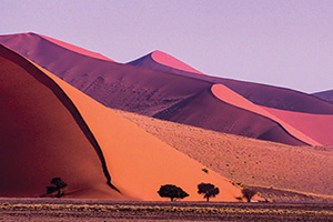 Circuit petit groupe - Du Cap aux dunes du Namib, légendes australes (de 8 à 14 pers. max.)