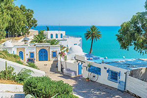 L'Essentiel de la Tunisie