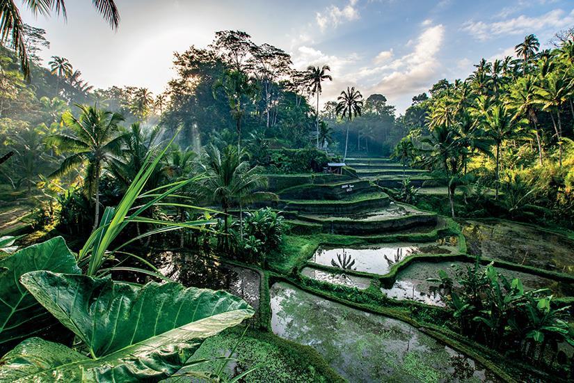 La Malaisie, Singapour et l'Indonésie (petit groupe 6-12 pers.)