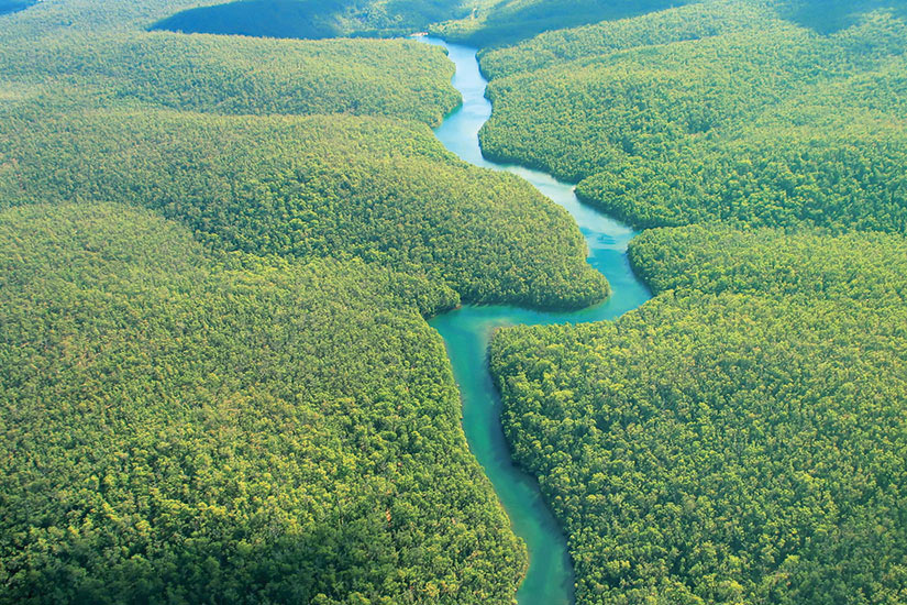 image Equateur Amazonie riviere foret Vue aerienne  it