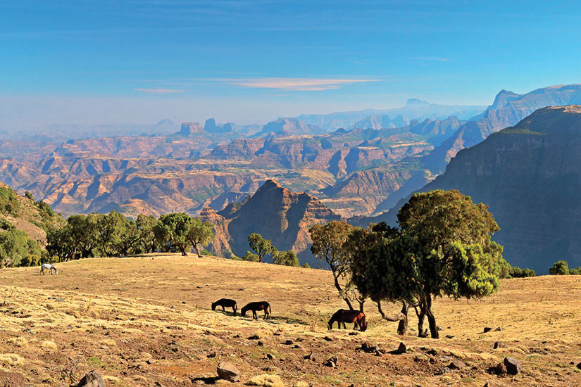 image Ethiopie Montagnes Simien Panorama  it