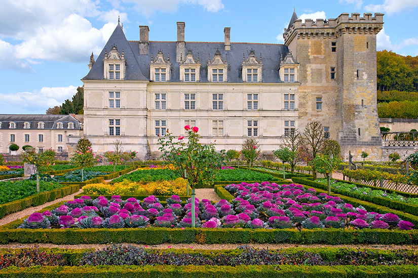 image France Loire Jardins chateau Villandry  fo