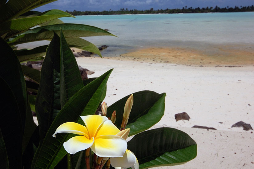 image France Tahiti tiare plage sable blanc  fo