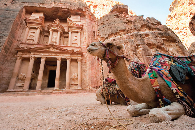 image Jordanie camel en face de la tresorerie Al Khazna  fo