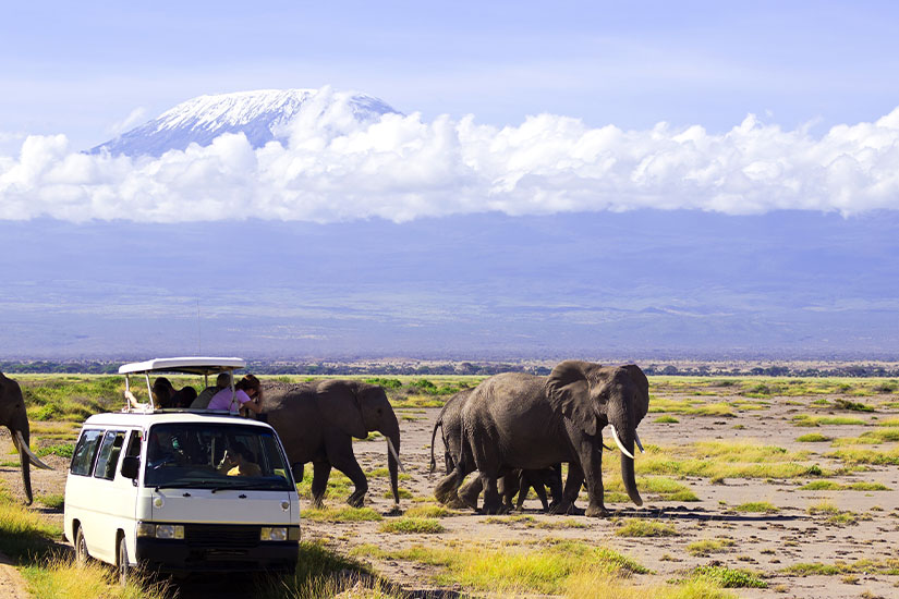 image Kenya Parc national d Amboseli Kilimandjaro safari it_155394918