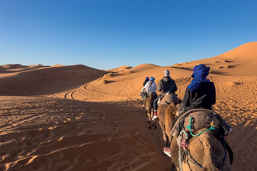 image Maroc Desert du Sahara Tour de chameau dans les dunes de Mergouza as_151818633