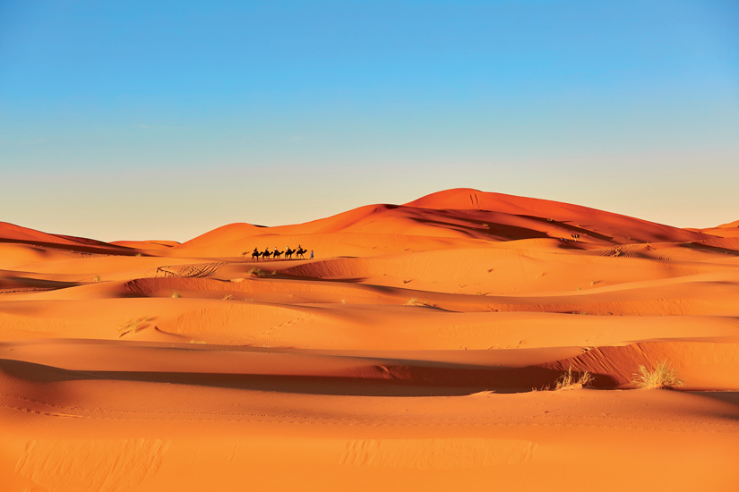 image Maroc royaume sahara camel caravane desert 28 fo_81327463