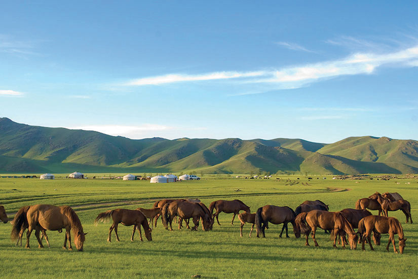 Circuit Mongolie Circuit petit groupe - La Mongolie, au Pays du Grand Ciel (de 6 à 12 pers. max.)