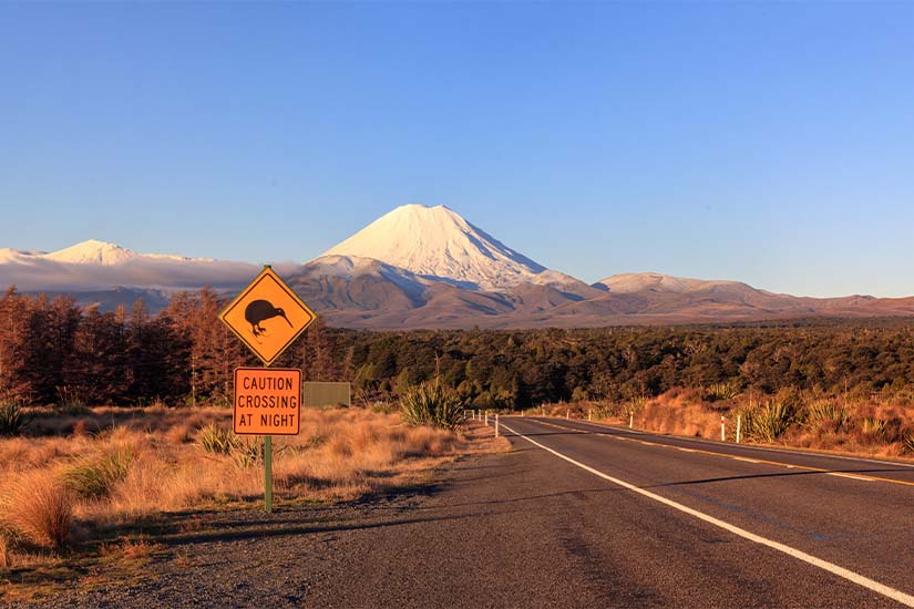 image Nouvelle Zelande Kiwi et volcans du parc national de Tongariro as_207861306