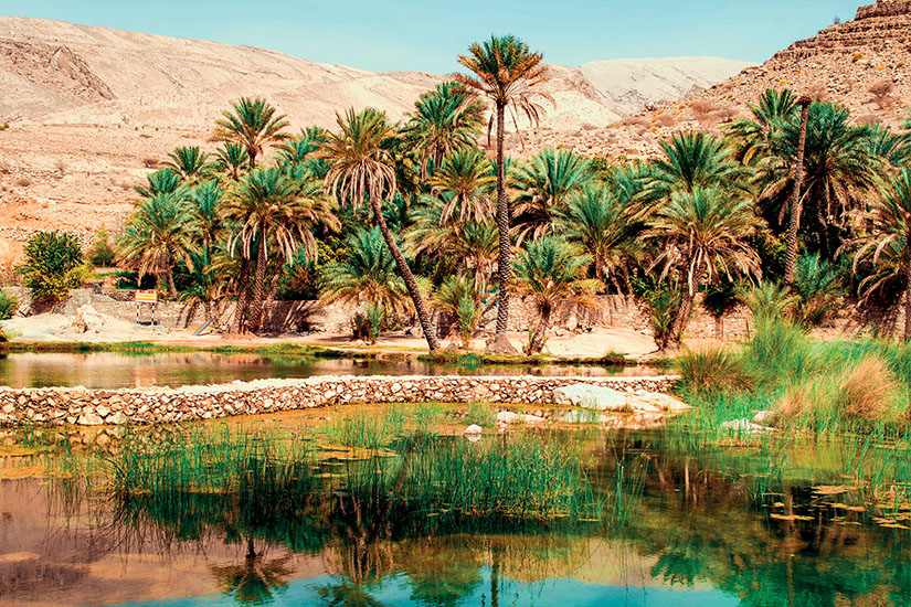 image Oman Oasis dans le desert as_235673164