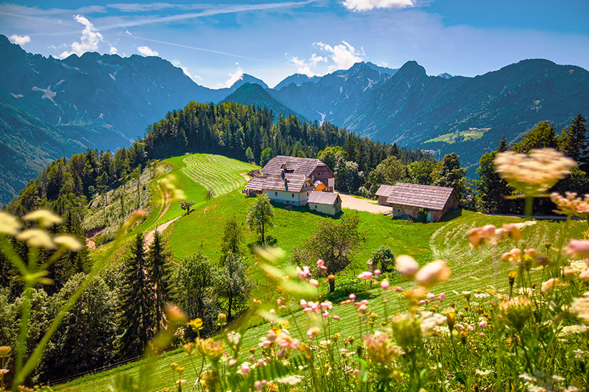 image Slovenie ferme dans les Alpes as_285583830