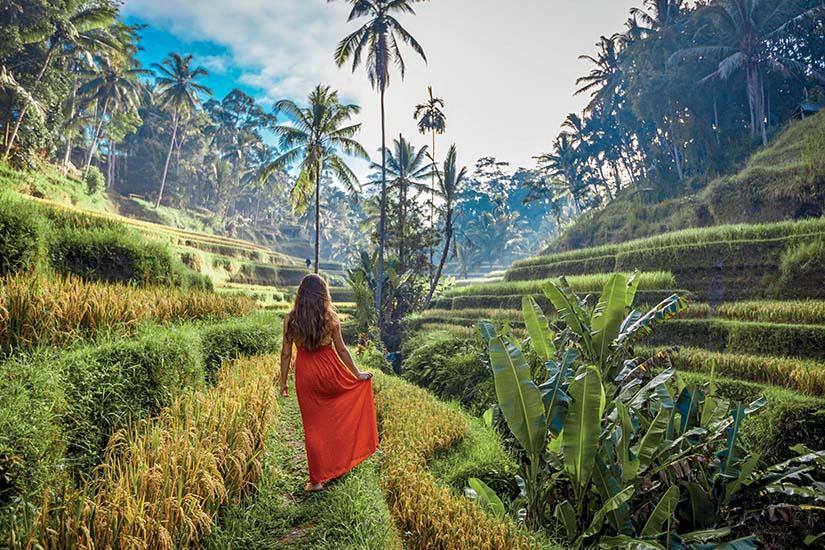 Circuit Indonésie Le Grand  Tour d'Indonésie, Java, Célèbes, Bali
