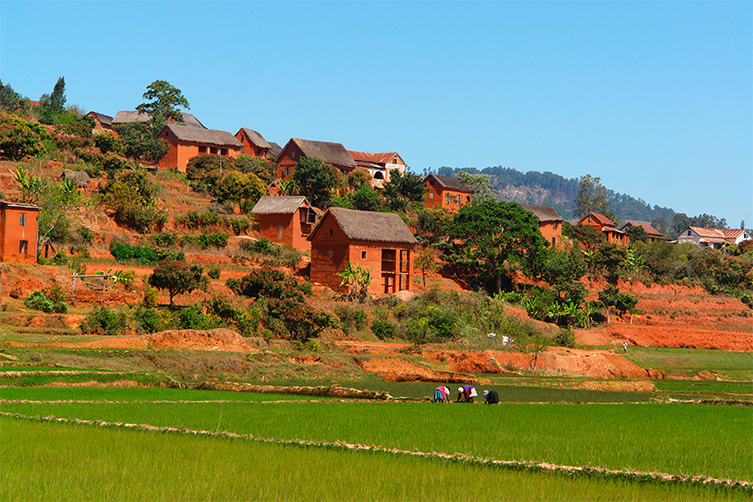 Image 18 du séjour Circuit petit groupe - Madagascar, l'île rouge - Des Hautes terres à Nosy Be (de 6 à 12 pers. max.) à Antananarivo, Madagascar