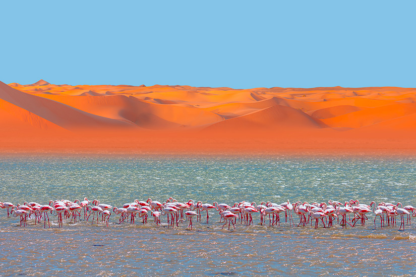 Image 7 du séjour Circuit petit groupe - Du Cap aux dunes du Namib, légendes australes (de 8 à 14 pers. max.) à Cape town, Afrique du Sud
