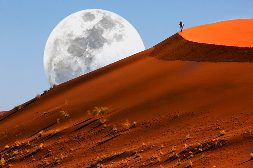 Image 12 du séjour Circuit petit groupe - Du Cap aux dunes du Namib, légendes australes (de 8 à 14 pers. max.) à Cape town, Afrique du Sud