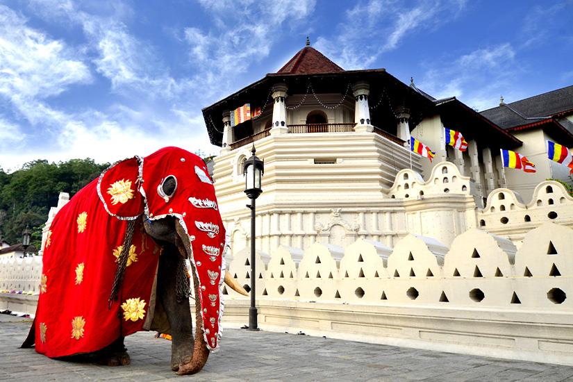 Splendeurs du Sri Lanka 3*
