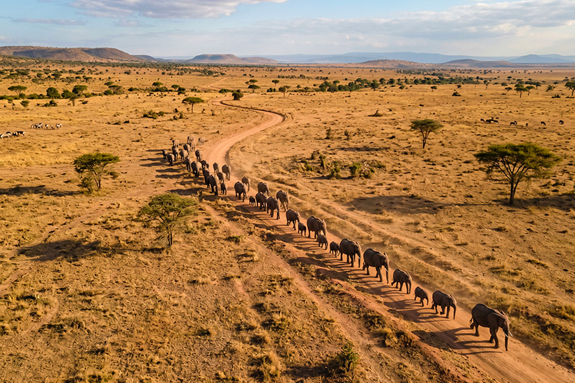 Circuit Petit Groupe - Tanzanie & Zanzibar, Safaris Du Sud Et Océan Indien - Vols Kenya Airways (de 3 À 7 Pers. Max.) - 1
