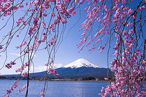 Instants suspendus, le Japon autrement 3*