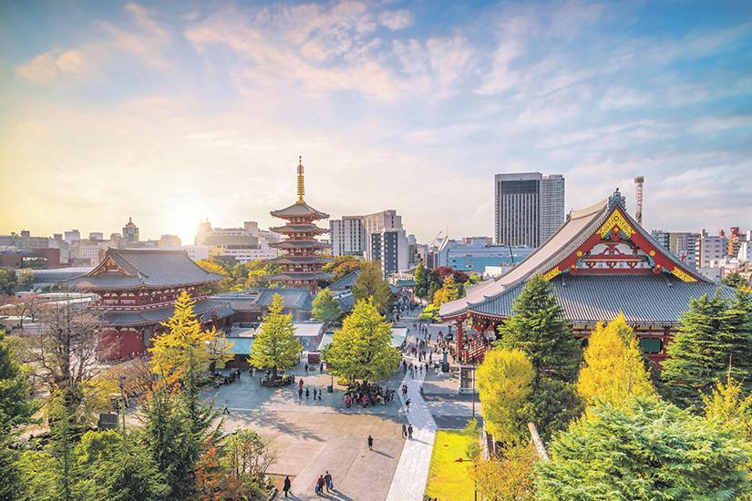 Immersion en Terres Japonaises - Départs 2027 3*