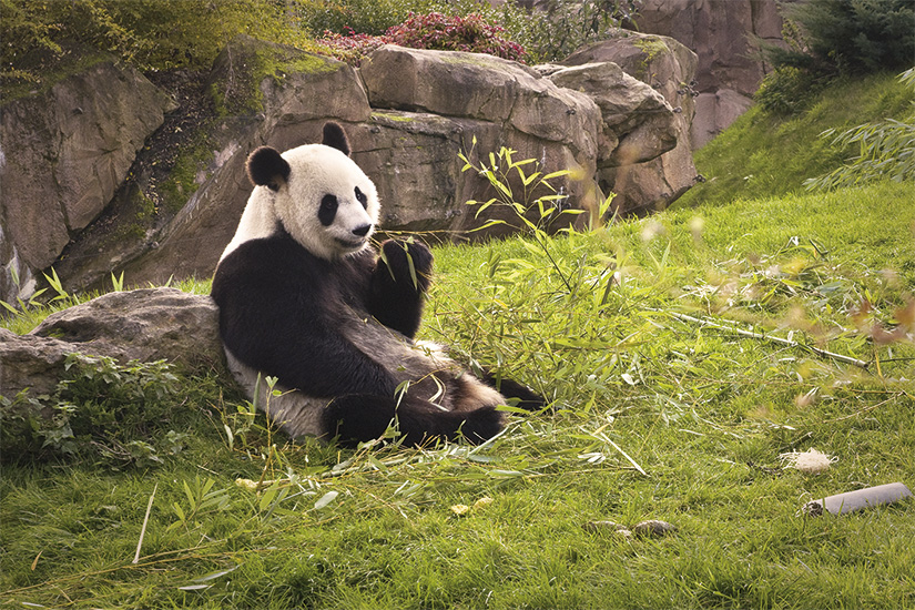 Les merveilles naturelles de la Chine (petit groupe - 6-12 pers.)